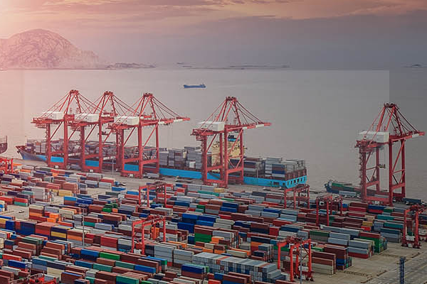 專業(yè)進出口代理公司